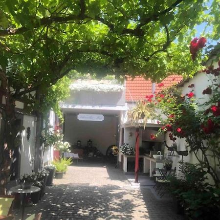 Ferienwohnung Im 'Schmoller - Hof' Neustadt an der Weinstrasse Exterior photo
