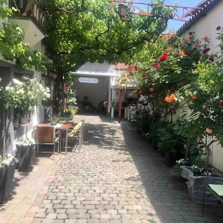 Ferienwohnung Im 'Schmoller - Hof' Neustadt an der Weinstrasse Exterior photo