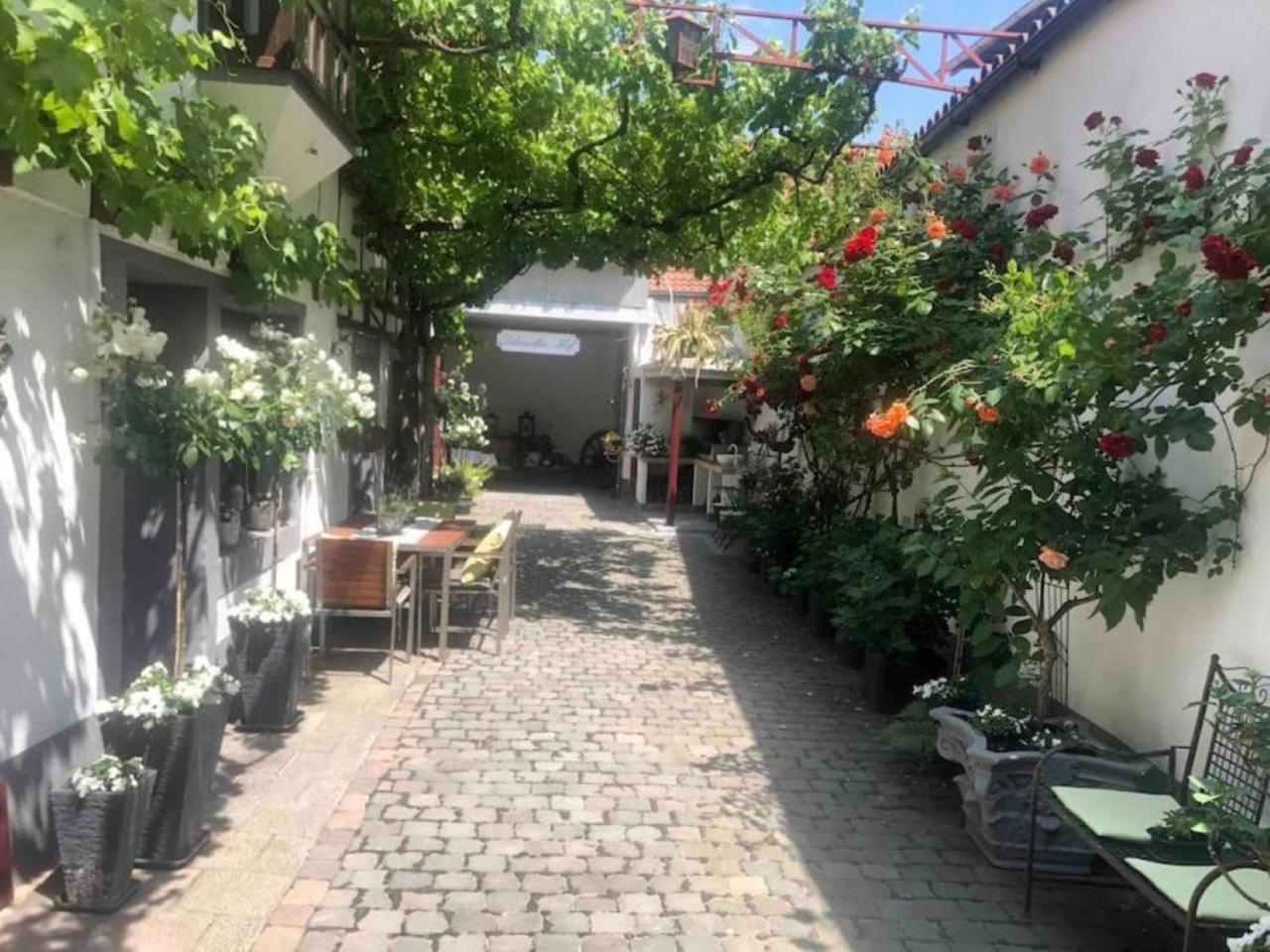 Ferienwohnung Im 'Schmoller - Hof' Neustadt an der Weinstrasse Exterior photo